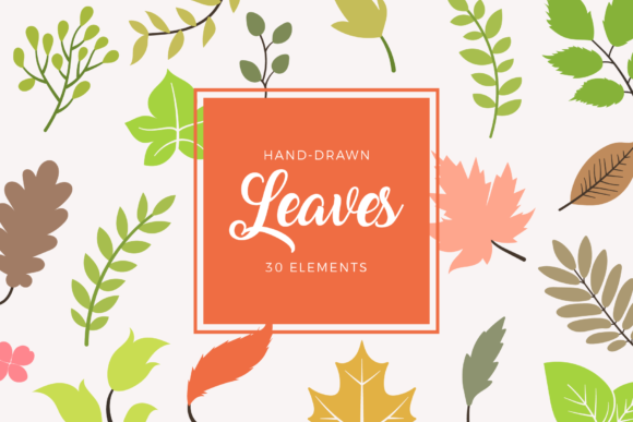 Leaves Floral Elements Clipart Set for Graphics and Illustrations